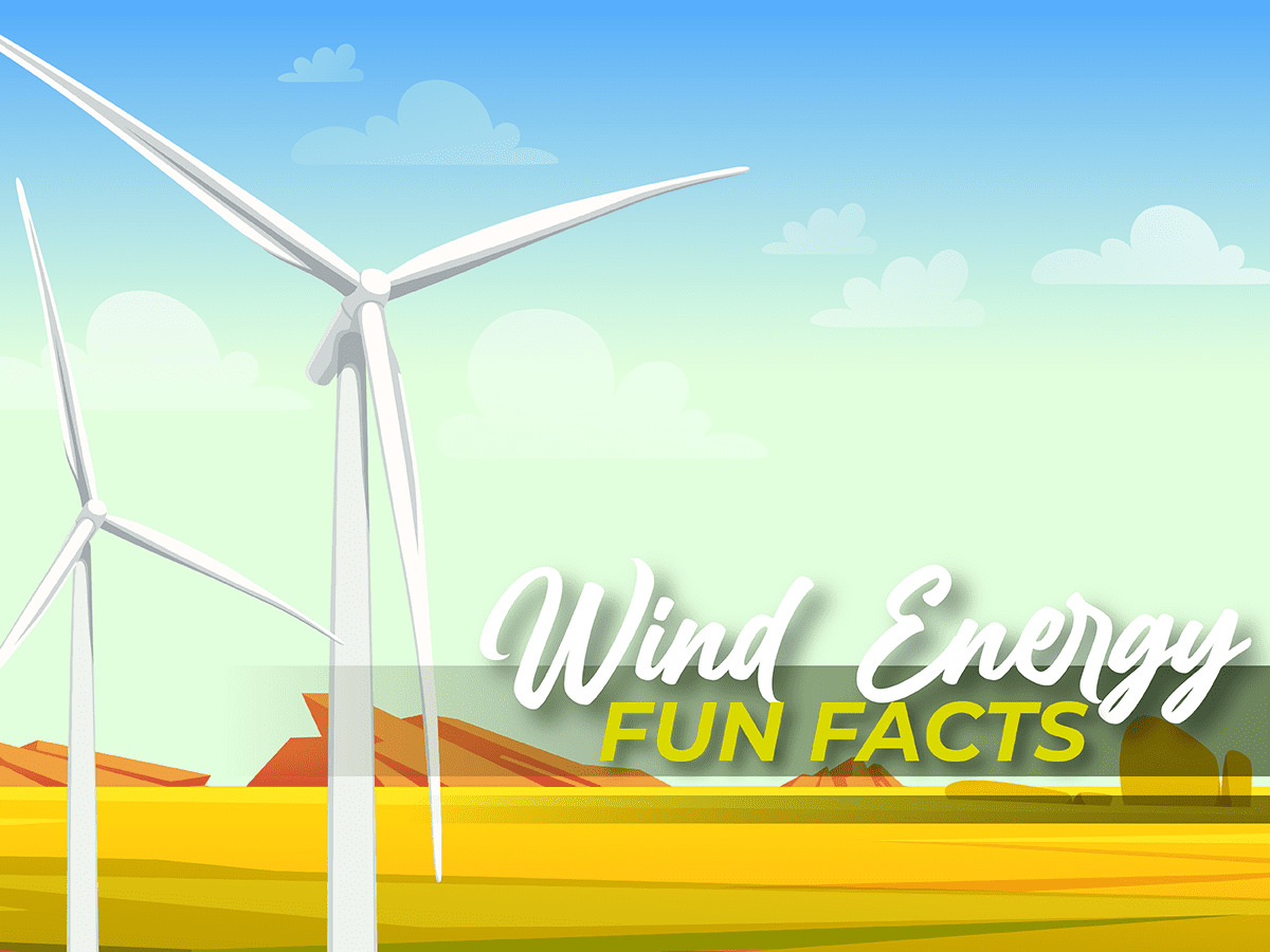 Wind Energy Fun Facts - Lindy Energy