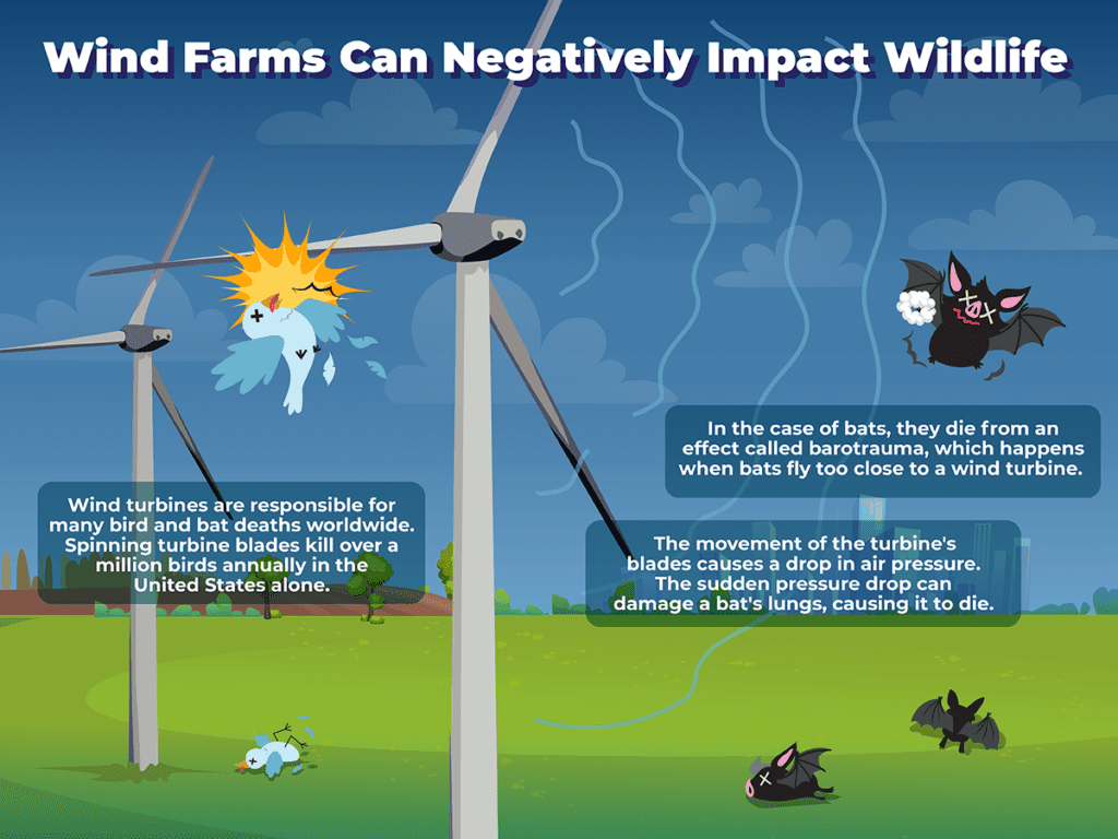 Wind Energy Pros And Cons Lindy Energy