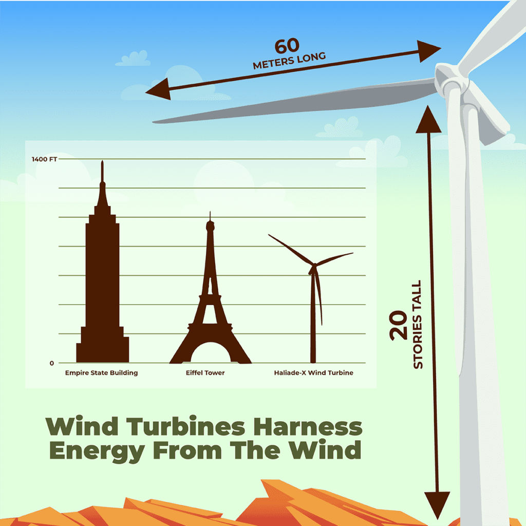 Wind Energy Fun Facts - Lindy Energy