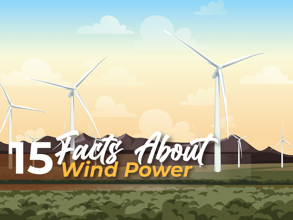 15 Facts About Wind Power - Lindy Energy